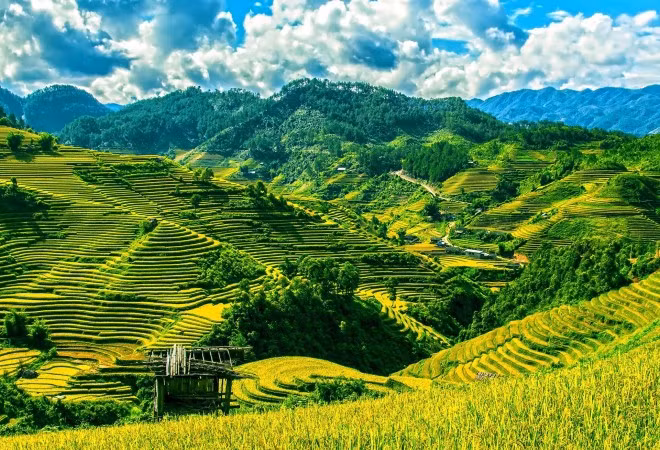 越南被列为全球最受欢迎的独自旅行胜地 ảnh 1 越南被列为全球最受欢迎的独自旅行胜地 ảnh 1