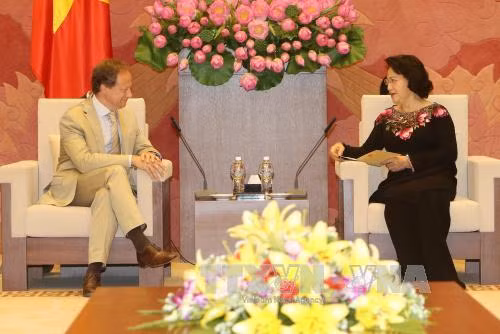 越南国会主席阮氏金银会见各国驻越大使 ảnh 2 越南国会主席阮氏金银会见各国驻越大使 ảnh 2