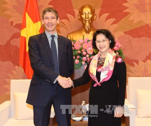 越南国会主席阮氏金银会见各国驻越大使 ảnh 3 越南国会主席阮氏金银会见各国驻越大使 ảnh 3