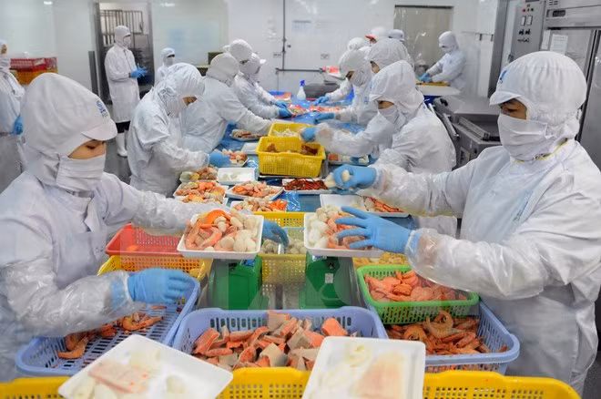 进口自越南虾类占韩国虾类进口量50% ảnh 1 进口自越南虾类占韩国虾类进口量50% ảnh 1