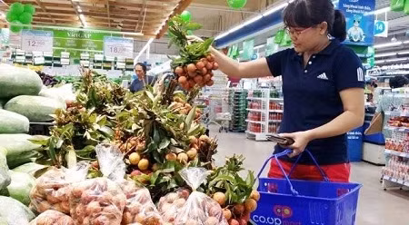 加大越南南方各省市市场的荔枝销售力度 ảnh 1