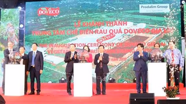 越南西原地区最大蔬菜加工厂正式投入运行 ảnh 1