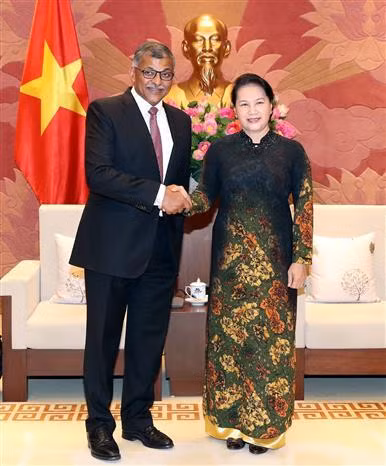 越南国会主席阮氏金银会见新加坡首席大法官 ảnh 1 越南国会主席阮氏金银会见新加坡首席大法官 ảnh 1
