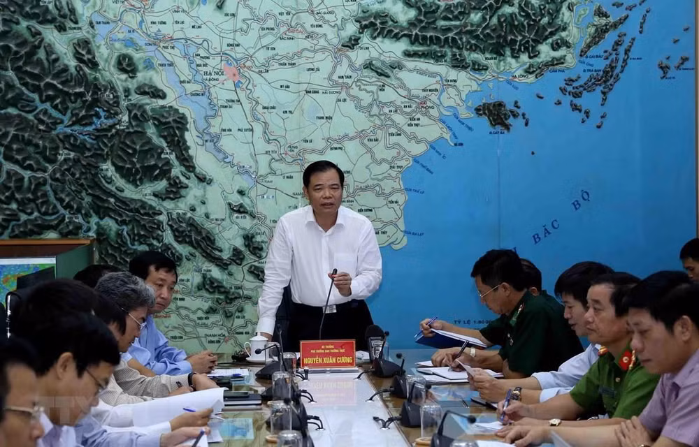 密切跟踪热带低压演变 及时应对自然灾害影响 ảnh 1 密切跟踪热带低压演变 及时应对自然灾害影响 ảnh 1