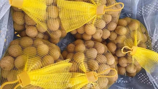 越南首批新鲜龙眼正式抵达澳大利亚 ảnh 1 越南首批新鲜龙眼正式抵达澳大利亚 ảnh 1