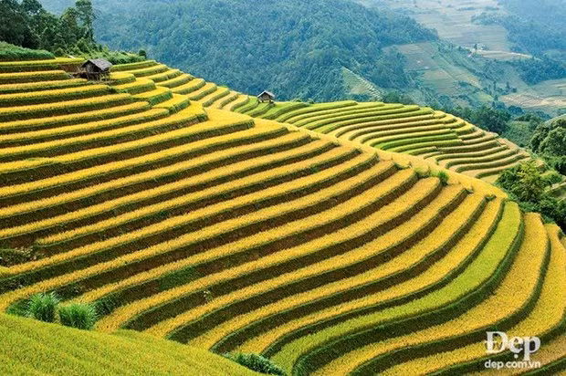 越南安沛省木江界县旅程中不可错过的美景 ảnh 2