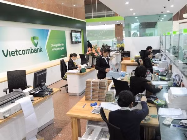 越南在外债管理发生许多变化 ảnh 1 越南在外债管理发生许多变化 ảnh 1
