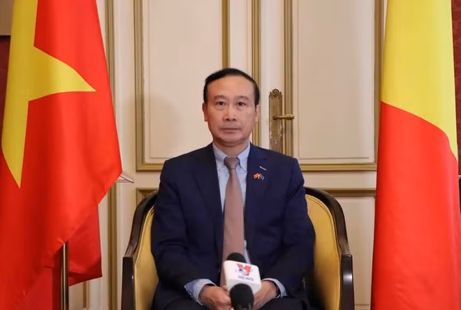 越南与比利时和欧盟促进绿色可持续合作 ảnh 2 越南与比利时和欧盟促进绿色可持续合作 ảnh 2