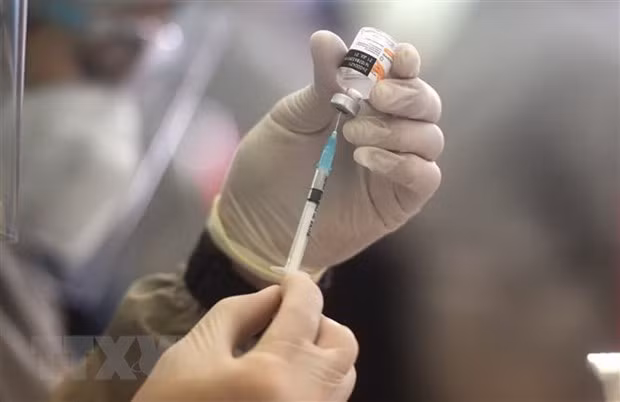 东盟与欧盟就新冠疫苗进行对话 ảnh 1 东盟与欧盟就新冠疫苗进行对话 ảnh 1