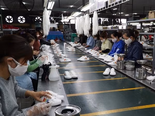 越南与智利的自由贸易协定为促进双方贸易增长注入动力 ảnh 1 越南与智利的自由贸易协定为促进双方贸易增长注入动力 ảnh 1