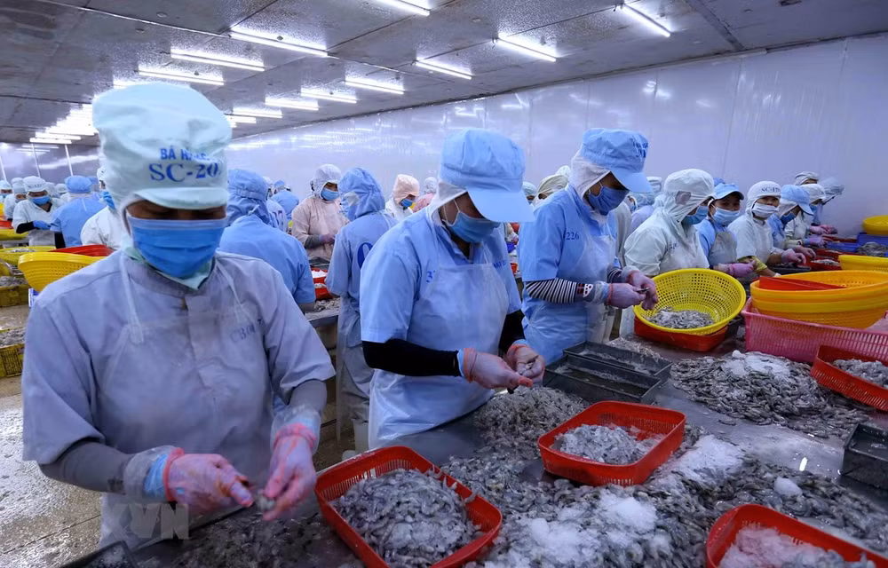 尽管疫情围攻 越南水产品出口仍迎来许多机会 ảnh 1