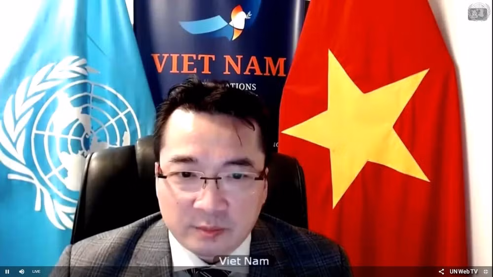越南呼吁利比亚遵守停火协议 ảnh 2 越南呼吁利比亚遵守停火协议 ảnh 2