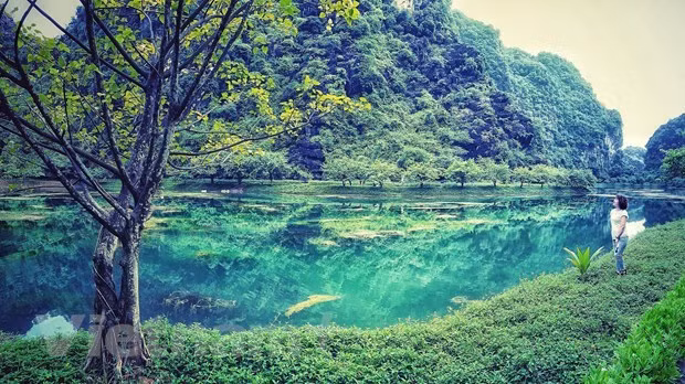宁平省春游必去之地 ảnh 6