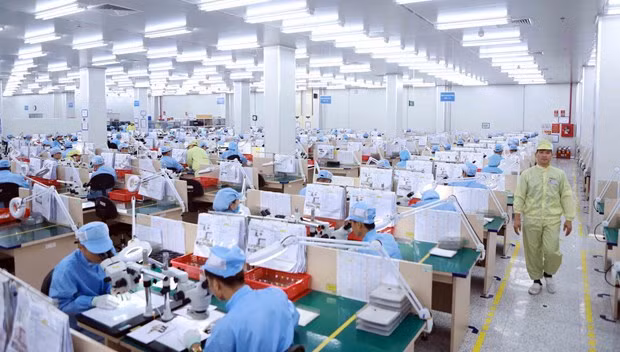 越南积极促进劳动力市场快速和可持续复苏 ảnh 2 越南积极促进劳动力市场快速和可持续复苏 ảnh 2