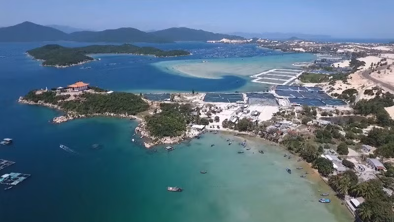 有效挖掘云峰经济区潜力并加大招商引资力度 ảnh 2 有效挖掘云峰经济区潜力并加大招商引资力度 ảnh 2