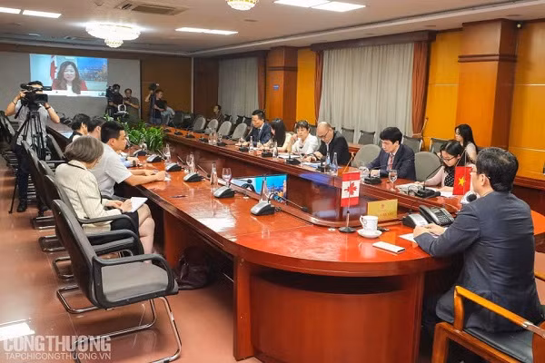 越南与加拿大促进合作 充分利用CPTPP带来的利益 ảnh 1