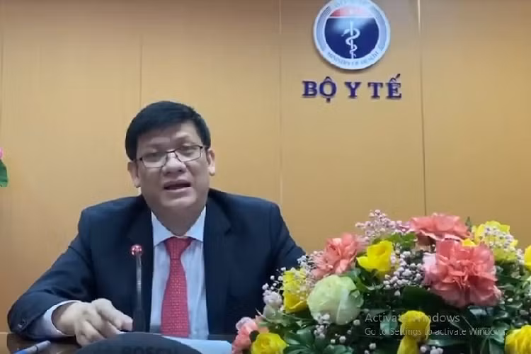 越南在第73届世界卫生大会视频会议上分享防疫经验 ảnh 1