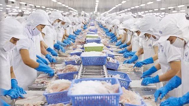 致力于有效实行EVFTA ảnh 1 致力于有效实行EVFTA ảnh 1