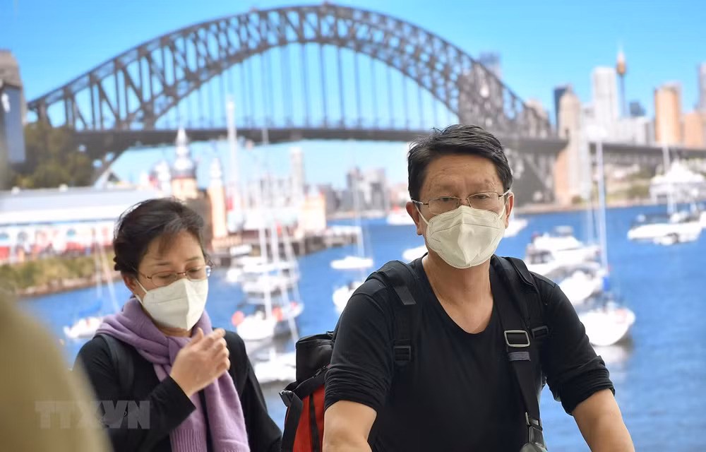新冠肺炎疫情：在澳越南企业努力度过困难阶段 ảnh 1