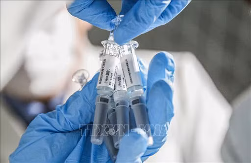 泰国开始在藏酋猴上测试新冠肺炎疫苗 马来西亚新增确诊病例突增 ảnh 1 泰国开始在藏酋猴上测试新冠肺炎疫苗 马来西亚新增确诊病例突增 ảnh 1