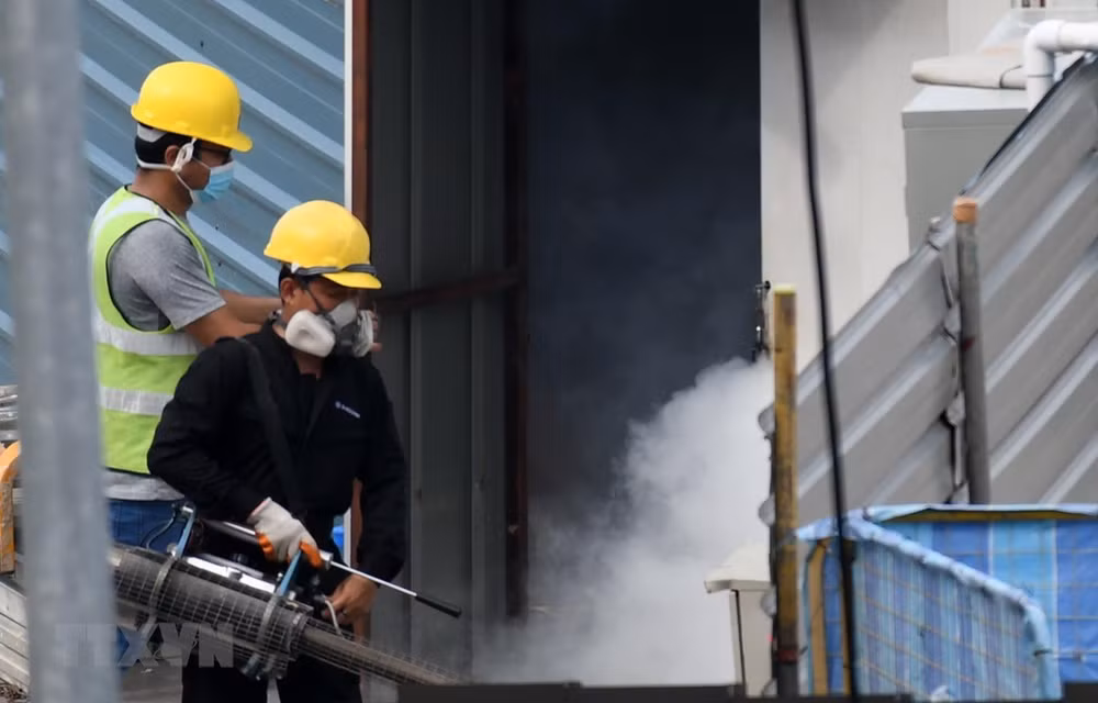 泰国呵叻府登革热疫情爆发 ảnh 1