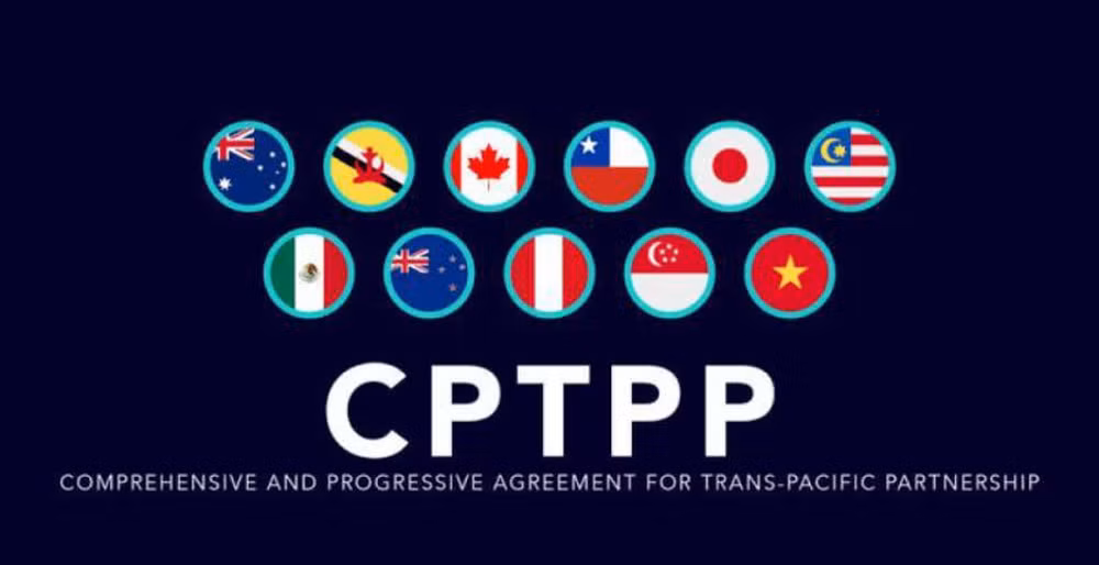 泰国为加入CPTPP谈判进程做好准备 ảnh 1 泰国为加入CPTPP谈判进程做好准备 ảnh 1