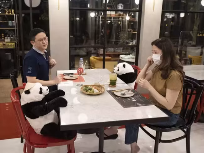 在泰国的越南餐厅采用创新的隔离式就餐办法 ảnh 1 在泰国的越南餐厅采用创新的隔离式就餐办法 ảnh 1