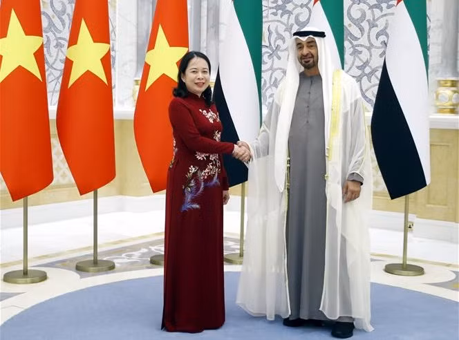越南国家副主席武氏映春会见阿联酋总统穆罕默德·本·扎耶德·阿勒纳哈扬 ảnh 2