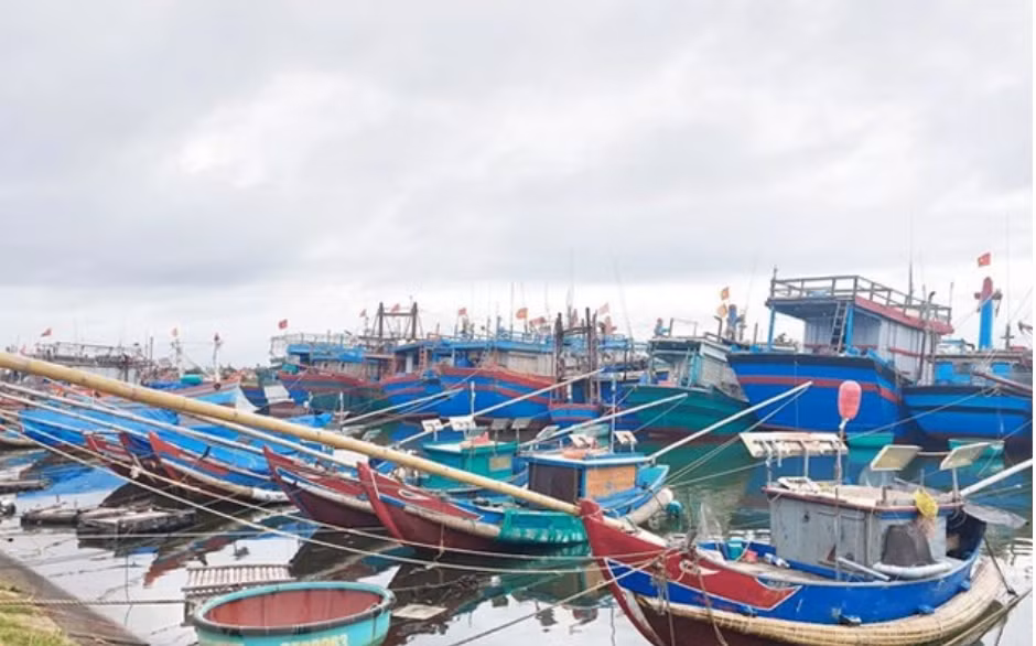 解除IUU“黄牌”警告:清化省密切监视渔业设施和渔船运营情况 ảnh 2 解除IUU“黄牌”警告:清化省密切监视渔业设施和渔船运营情况 ảnh 2
