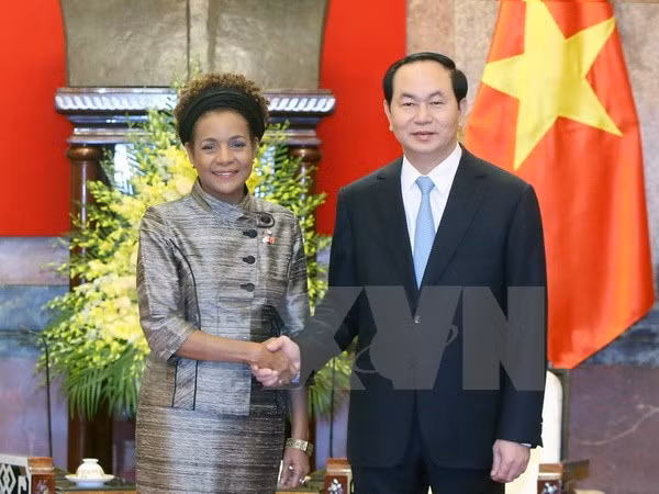 国家主席陈大光:越南高度评价第16届法语国家组织峰会的主题 ảnh 1 国家主席陈大光:越南高度评价第16届法语国家组织峰会的主题 ảnh 1