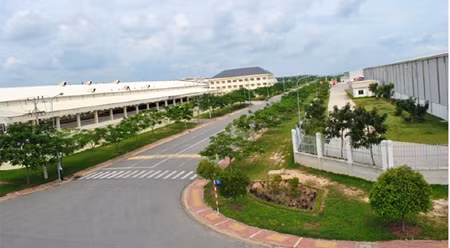 做好准备迎来新机遇 ảnh 1