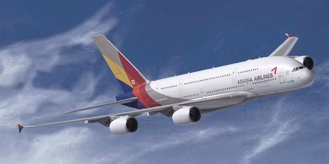 韩国首尔航空拟开通飞往越南岘港市直达航线 ảnh 1
