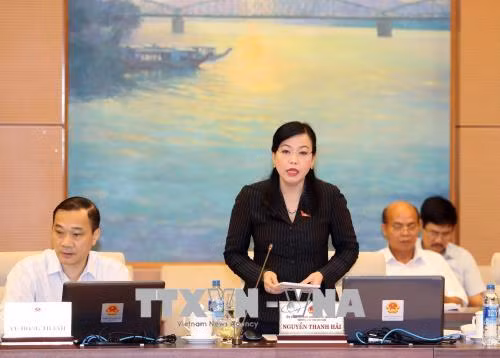 第十四届国会常务委员会第二十四次会议：集中从基层处理选民的意见建议 ảnh 1