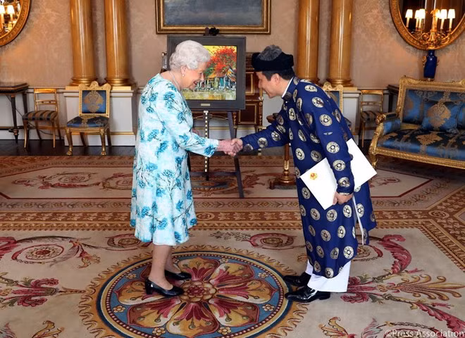 越南驻英国大使陈玉安向英国女王递交国书 ảnh 1