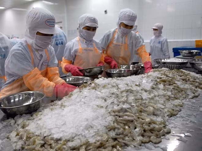 坚江省提高出口产品的竞争力 ảnh 1