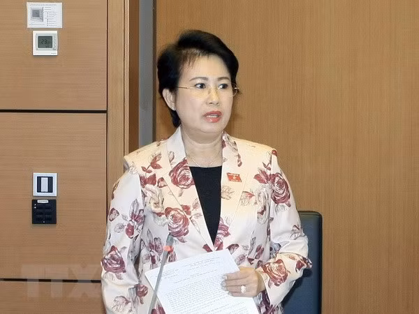 越南国会常务委员会通过决议 免去潘氏美青国会代表资格 ảnh 1 越南国会常务委员会通过决议 免去潘氏美青国会代表资格 ảnh 1