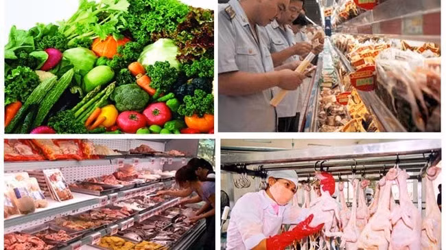 提高食品安全管理工作效率 满足消费者和出口的需求 ảnh 1 提高食品安全管理工作效率 满足消费者和出口的需求 ảnh 1