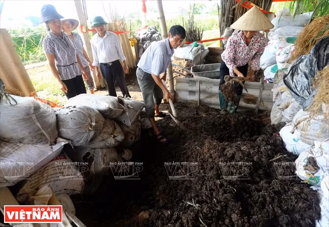 越南 VECO ảnh 2 越南 VECO ảnh 2