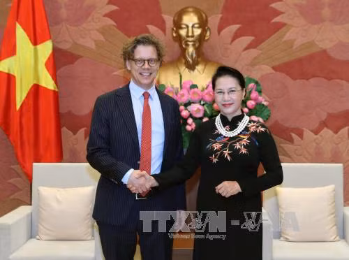 越南国会主席阮氏金银会见瑞典与匈牙利驻越大使 ảnh 1