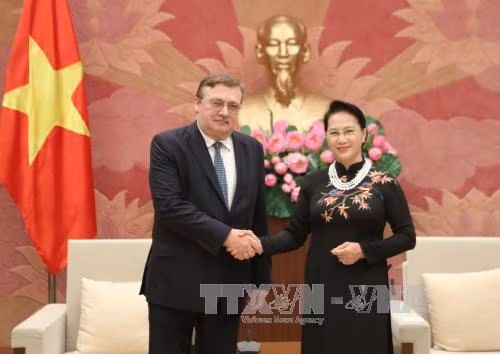 越南国会主席阮氏金银会见瑞典与匈牙利驻越大使 ảnh 3