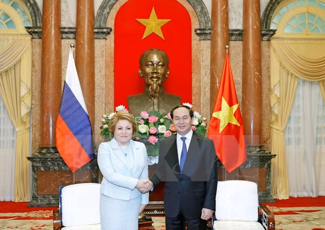 国家主席陈大光：希望越俄经贸合作关系实现突破 ảnh 1