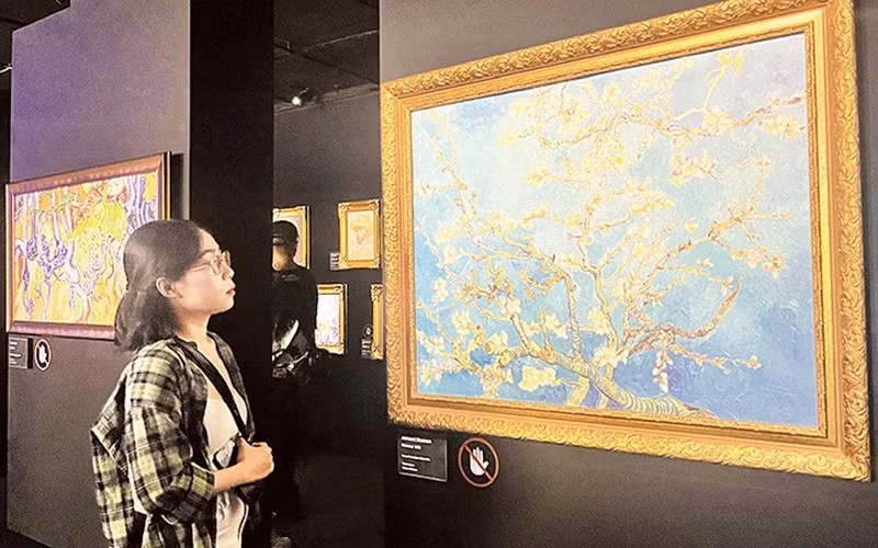 彰显胡志明市在地区旅游业中的地位 ảnh 2