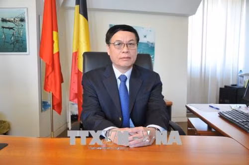欧洲团队项目承诺为东盟国家援助8亿欧元 ảnh 1 欧洲团队项目承诺为东盟国家援助8亿欧元 ảnh 1