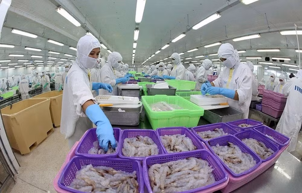 俄罗斯专家高度评价越南在亚欧一体化进程中的作用 ảnh 1 俄罗斯专家高度评价越南在亚欧一体化进程中的作用 ảnh 1