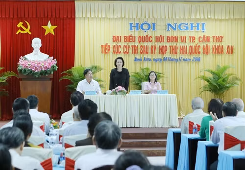 越南国会主席阮氏金银与芹苴市选民接触 ảnh 1