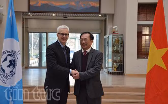 越南与国际刑警组织加强打击跨国犯罪合作 ảnh 1