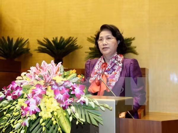 越南国会主席阮氏金银离开河内 启程前往印度进行正式友好访问 ảnh 1