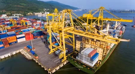 岘港港口货物吞吐量达700万吨 ảnh 1