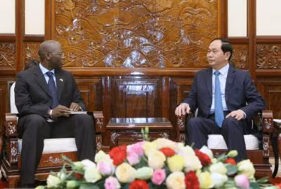 越南国家主席会见世行驻越首席代表 ảnh 2