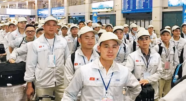 旅居韩国越南人总数逾14.7万人 ảnh 1